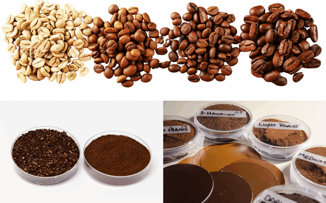 Définir le profil de couleur du café – à l’aide de colorimètres spectraux